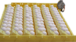E15 - Universal Quail Egg Rack